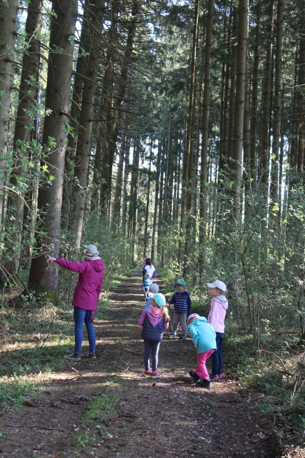 Wald 900